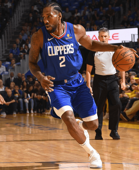 枣椰 枣椰